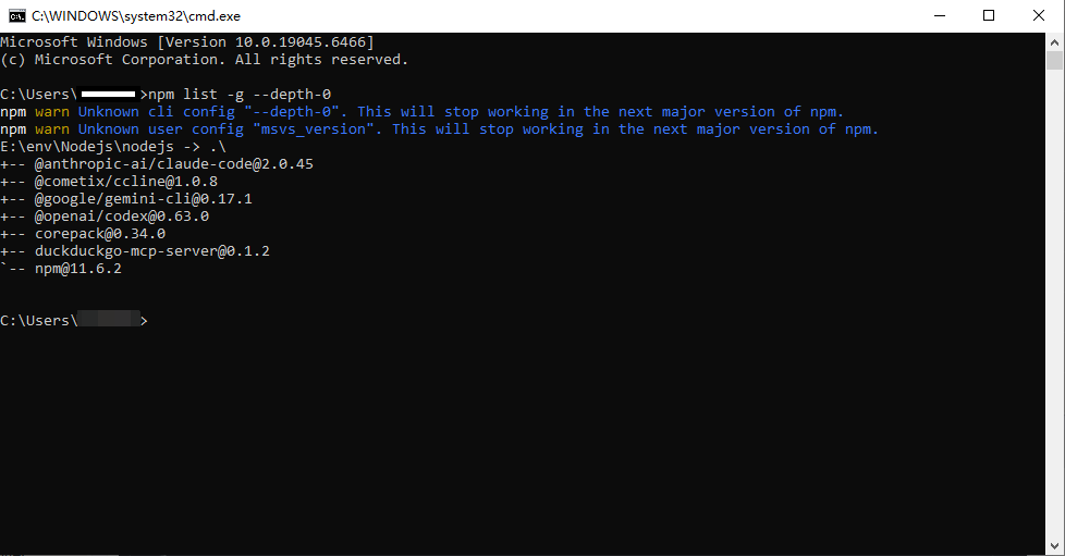Check npm global packages
