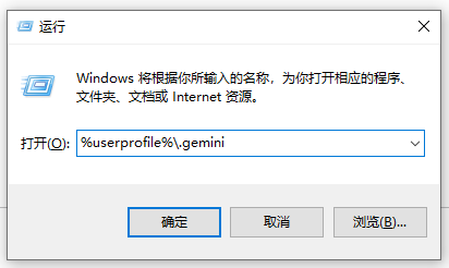 Open .gemini directory